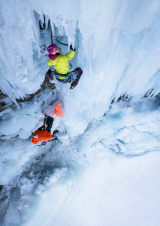 Filmplakat ALPEN FILM FESTIVAL 2026